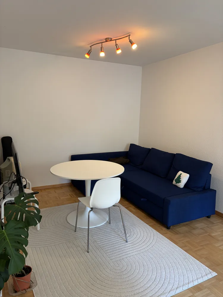 2 Zimmer Wohnung mit 43 m² in Dresden – Bild 8