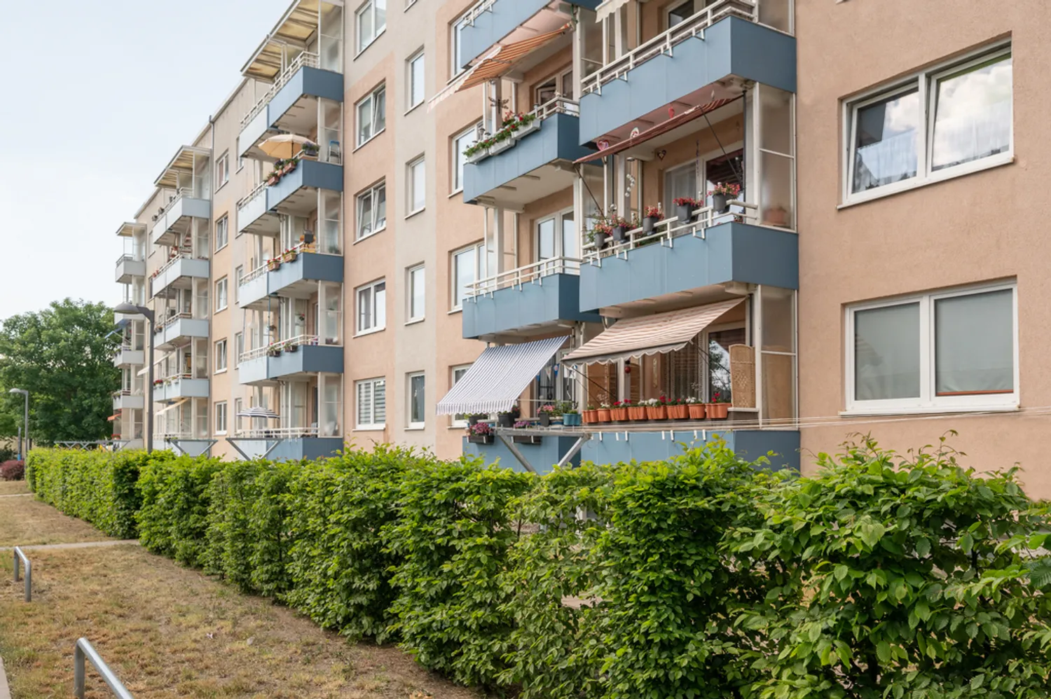 2 Zimmer Wohnung mit 50 m² in Neubrandenburg – Bild 4