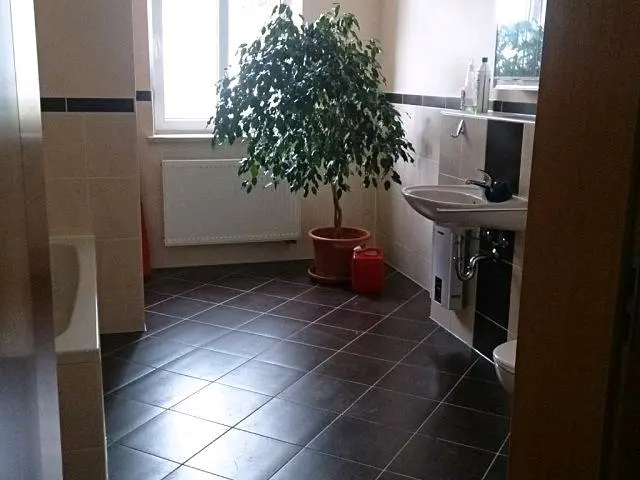 2 Zimmer Wohnung mit 80 m² in Plauen – Bild 3