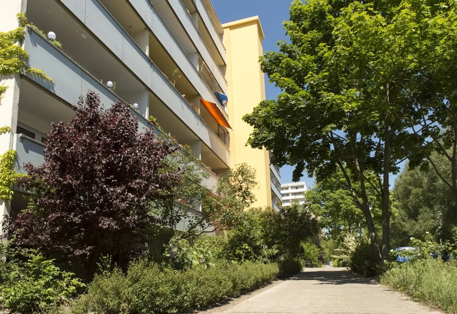 1 Zimmer Wohnung mit 36 m² in Berlin – Bild 2