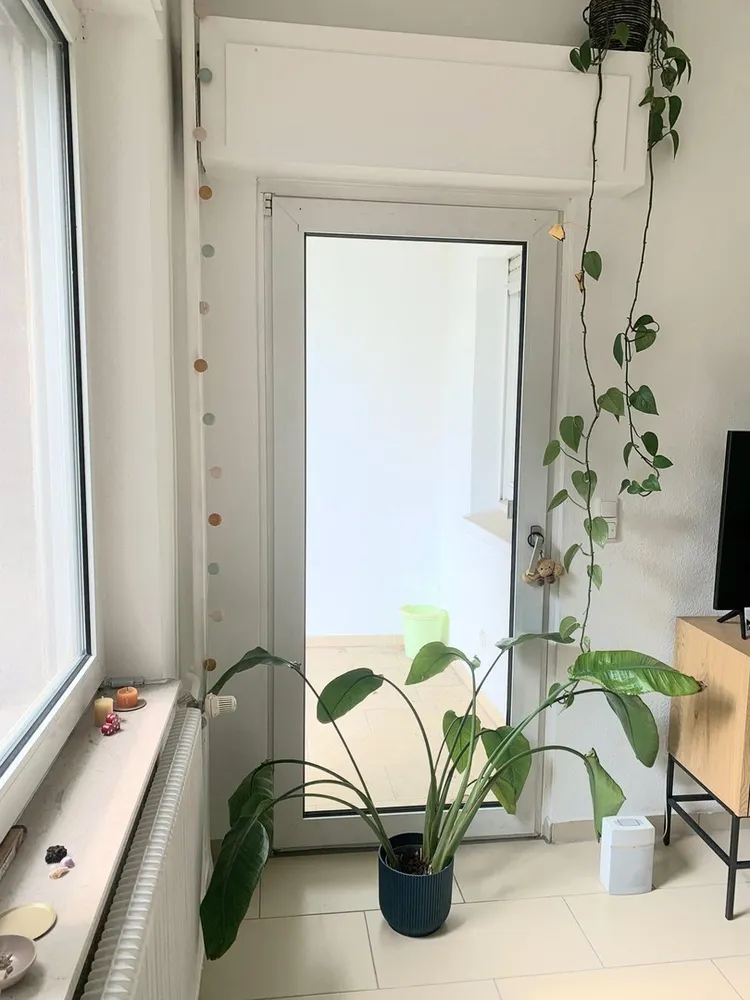 3 Zimmer Wohnung mit 65 m² in Duisburg – Bild 6