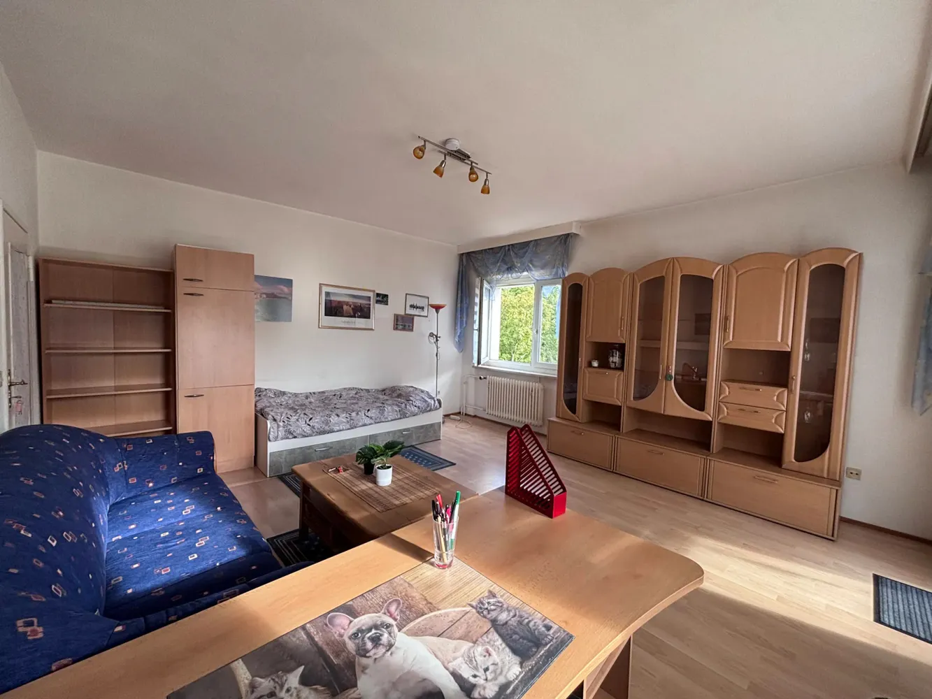WG-Zimmer mit 24 m² in Berlin – Bild 6