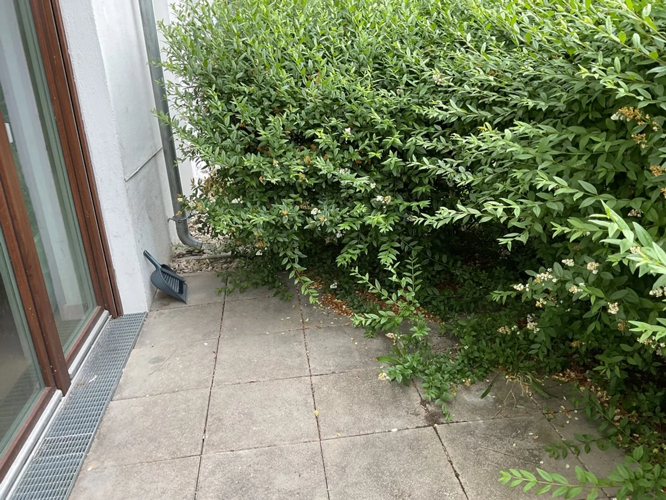 2 Zimmer Wohnung mit 48 m² in Berlin – Bild 4