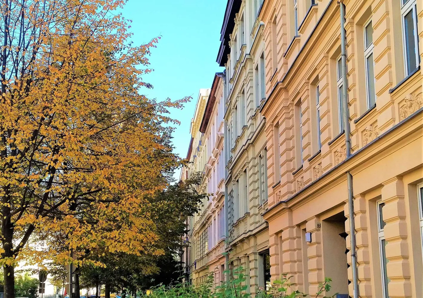 3 room apartment with 74 m² in Magdeburg – Photo 10