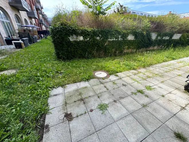 2 Zimmer Wohnung mit 37 m² in Berlin – Bild 11