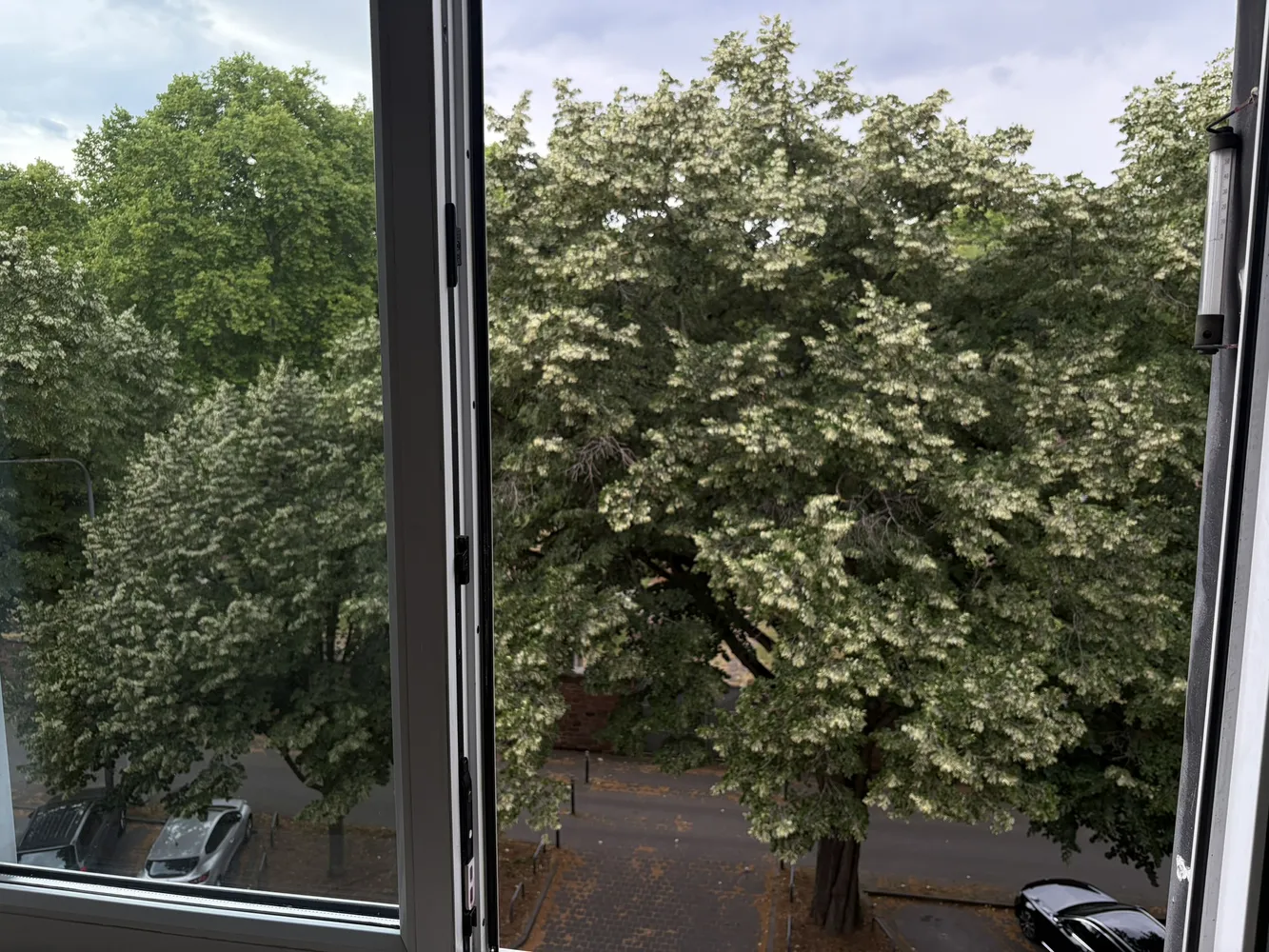 4 Zimmer Wohnung mit 93 m² in Frankfurt am Main – Bild 3