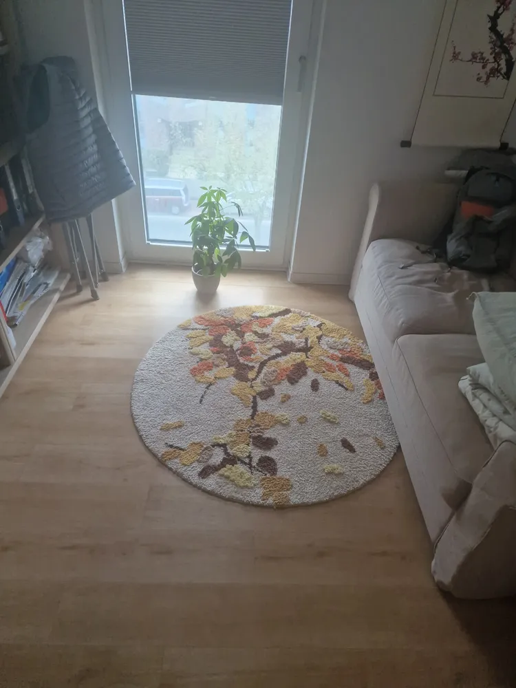 2 Zimmer Wohnung mit 36 m² in Aachen – Bild 2