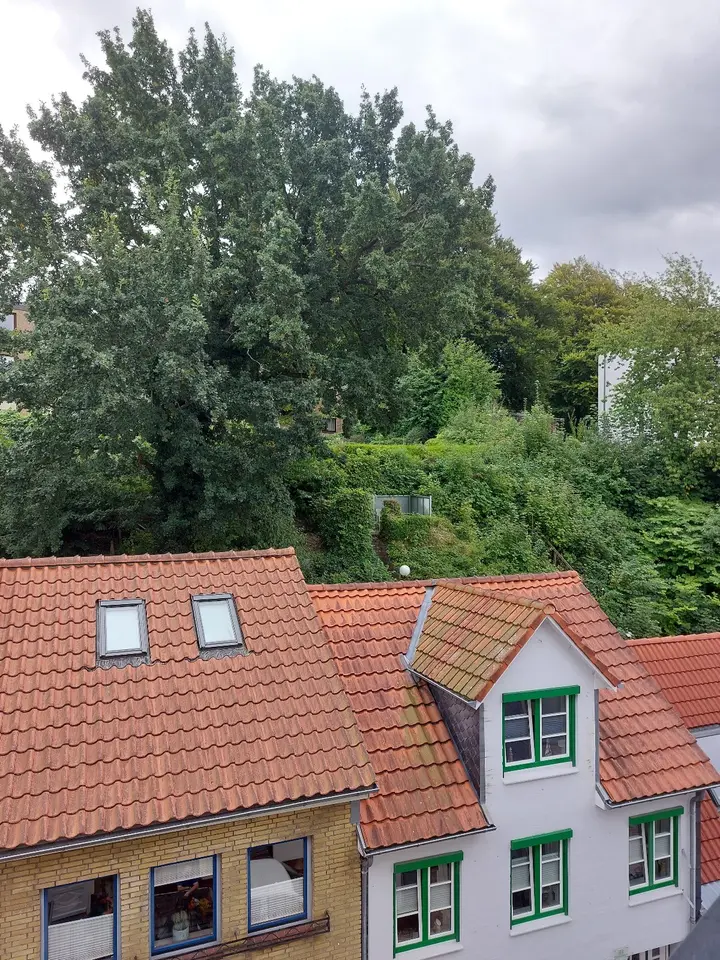 3 Zimmer Wohnung mit 59 m² in Flensburg – Bild 6