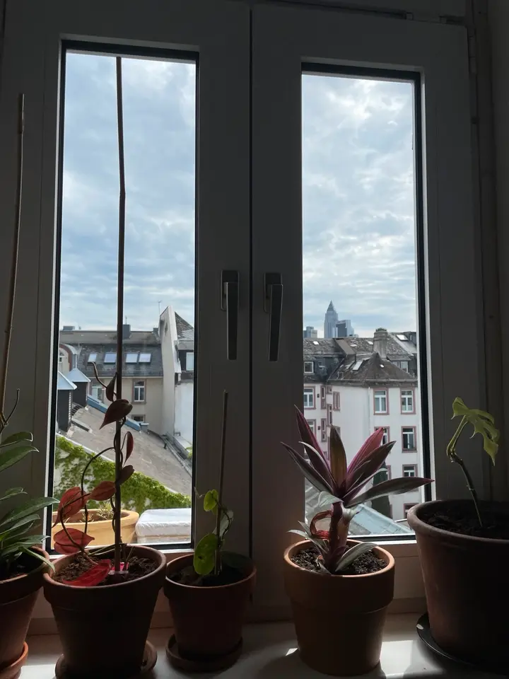 WG-Zimmer mit 15 m² in Frankfurt am Main – Bild 8