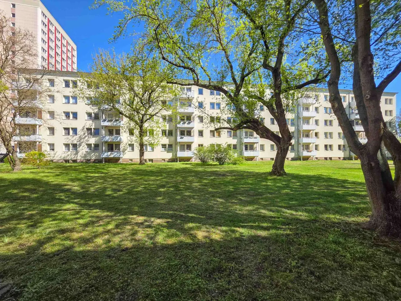 2 room apartment with 47 m² in Magdeburg – Photo 3
