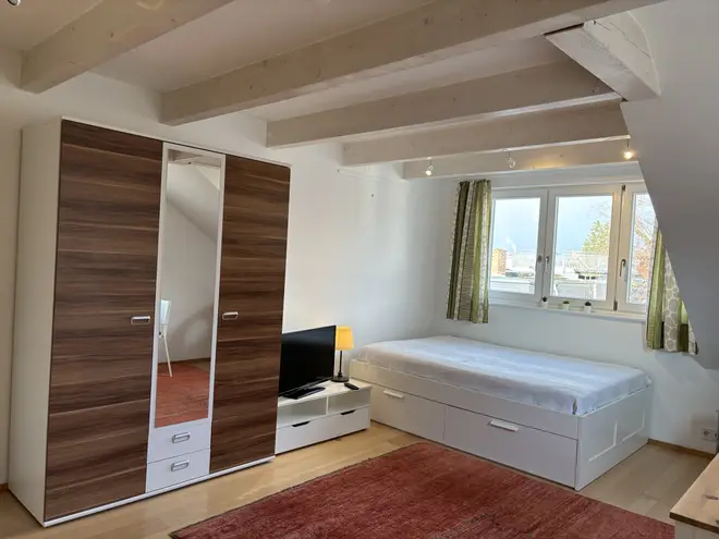 1 Zimmer Wohnung mit 25 m² in Freiburg im Breisgau – Bild 3