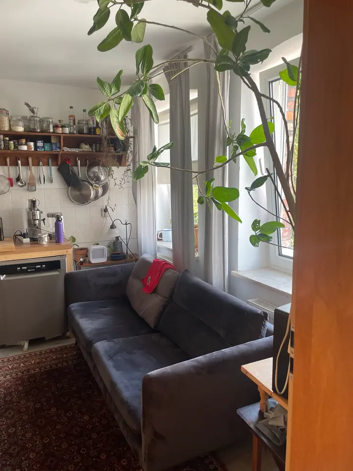 2 Zimmer Wohnung mit 35 m² in Halle (Saale) – Bild 3