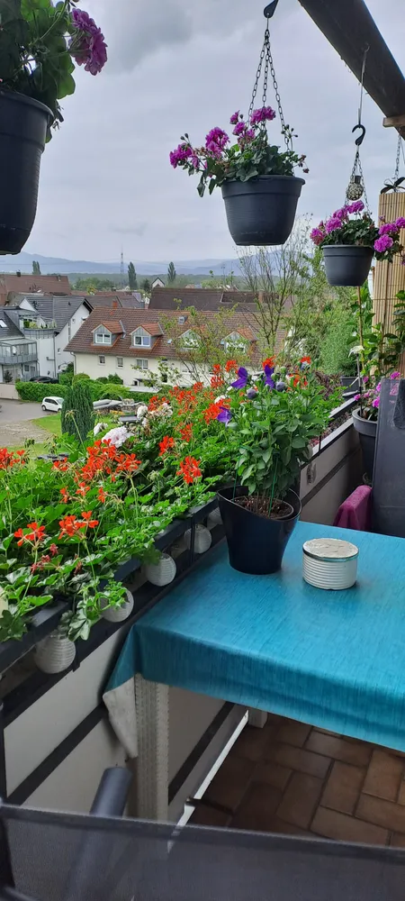 2 room apartment with 54 m² in Freiburg im Breisgau – Photo 1