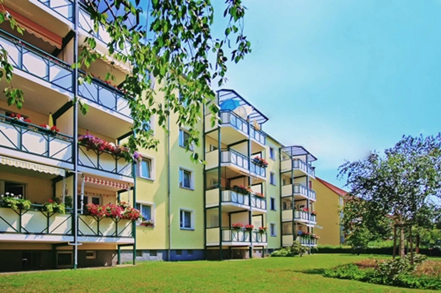 3 Zimmer Wohnung mit 58 m² in Zwickau – Bild 1