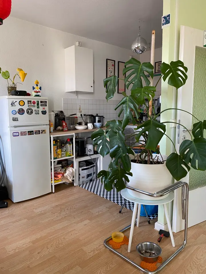 4 Zimmer Wohnung mit 50 m² in Dessau-Roßlau – Bild 8