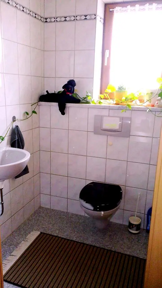 WG-Zimmer mit 16 m² in Donauwörth – Bild 8
