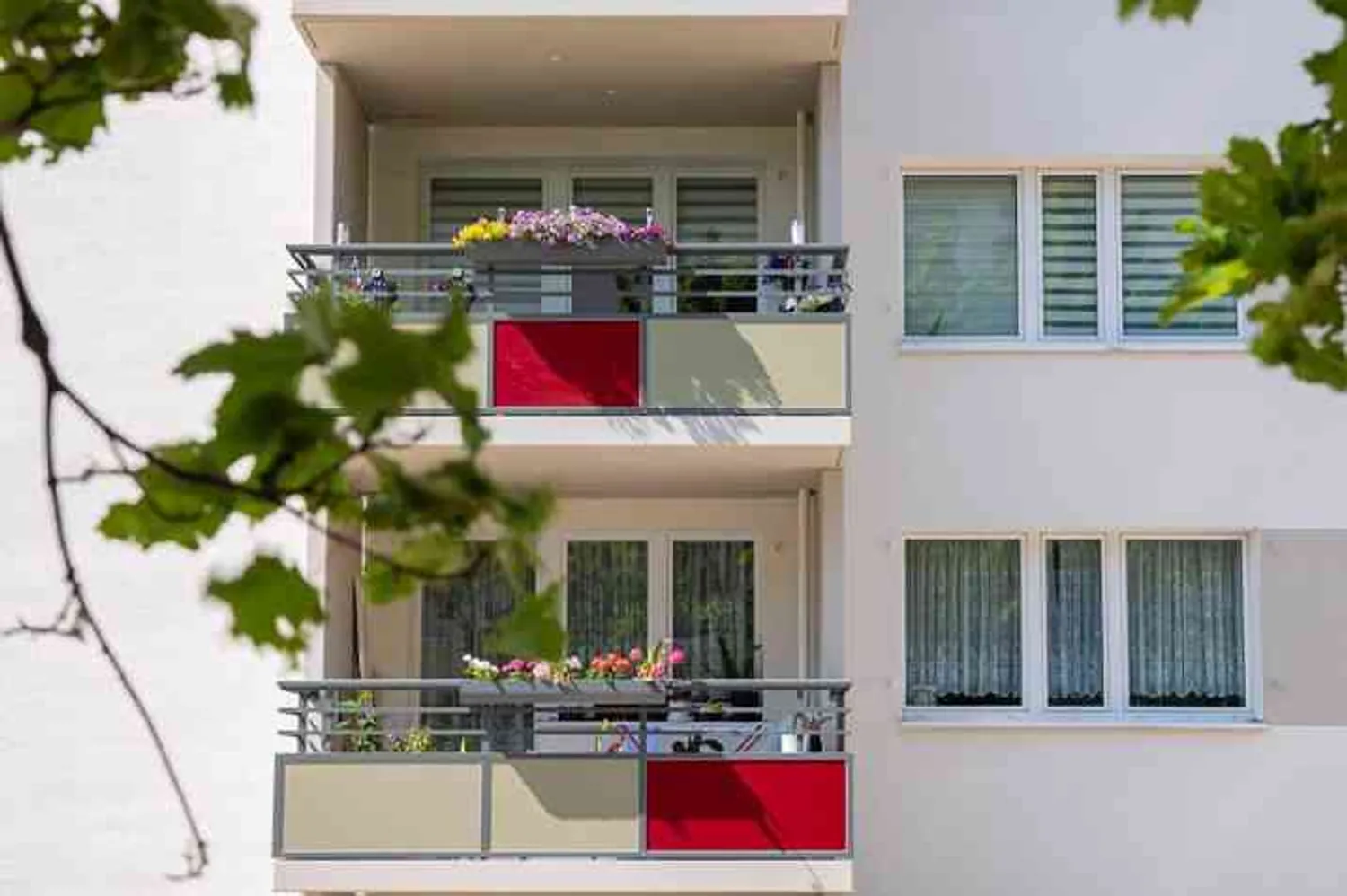 3 Zimmer Wohnung mit 80 m² in Dresden – Bild 2
