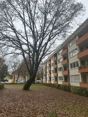 3 Zimmer Wohnung mit 75 m² in Nürnberg – Bild 3