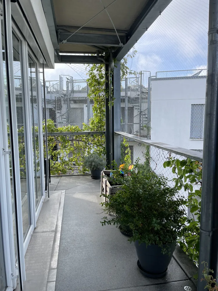 3 Zimmer Wohnung mit 101 m² in Heidelberg – Bild 11