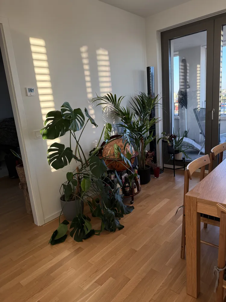 3 Zimmer Wohnung mit 77 m² in Frankfurt am Main – Bild 8