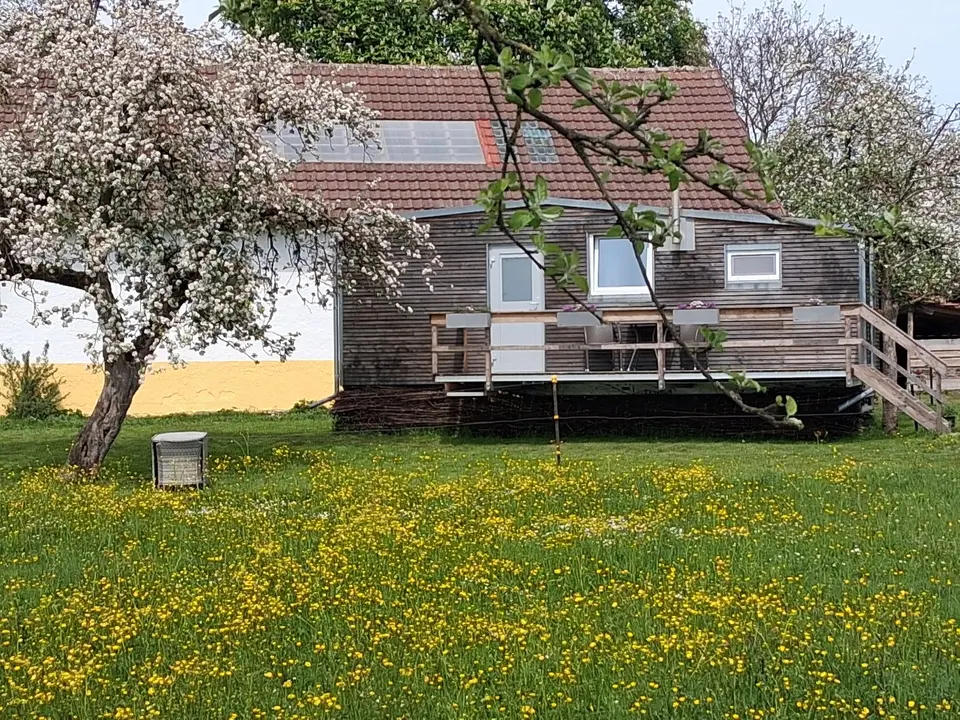 5 Zimmer Wohnung mit 110 m² in Weingarten – Bild 9