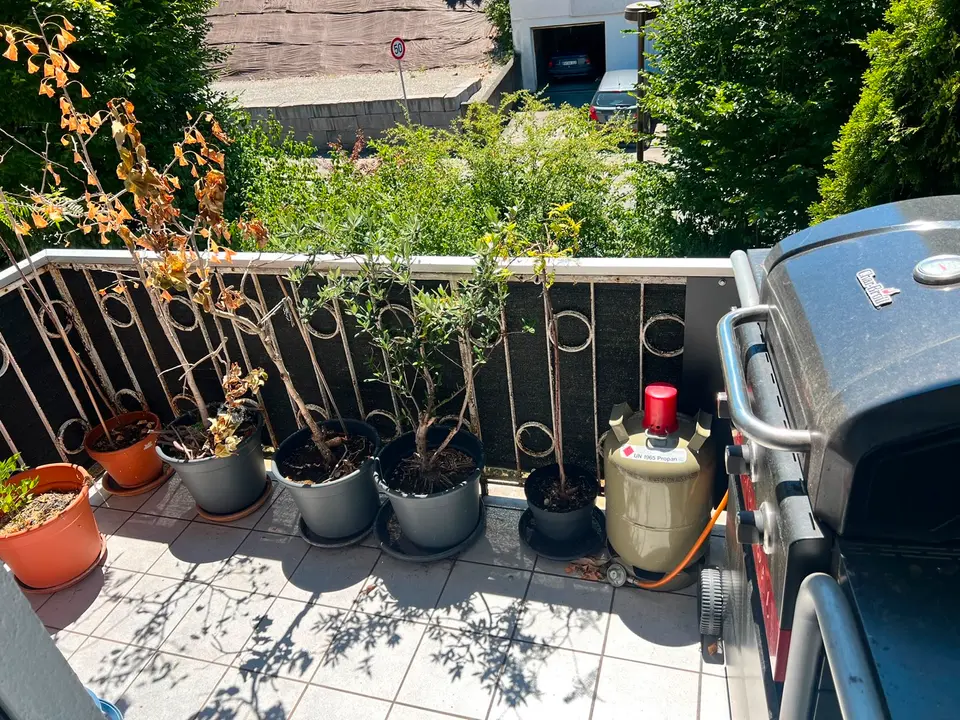 4 Zimmer Wohnung mit 83 m² in Weingarten – Bild 8