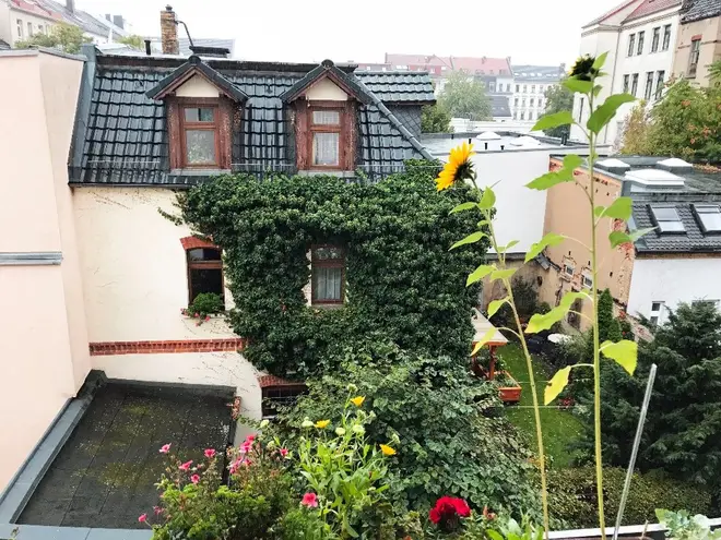 2 Zimmer Wohnung mit 58 m² in Leipzig – Bild 1