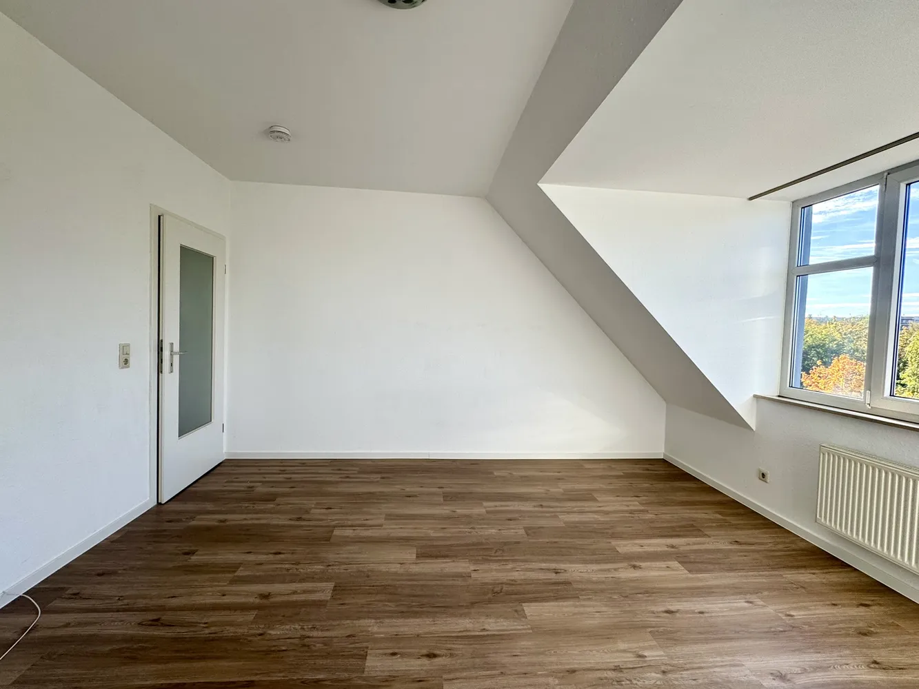 2 room apartment with 53 m² in Dresden – Photo 6