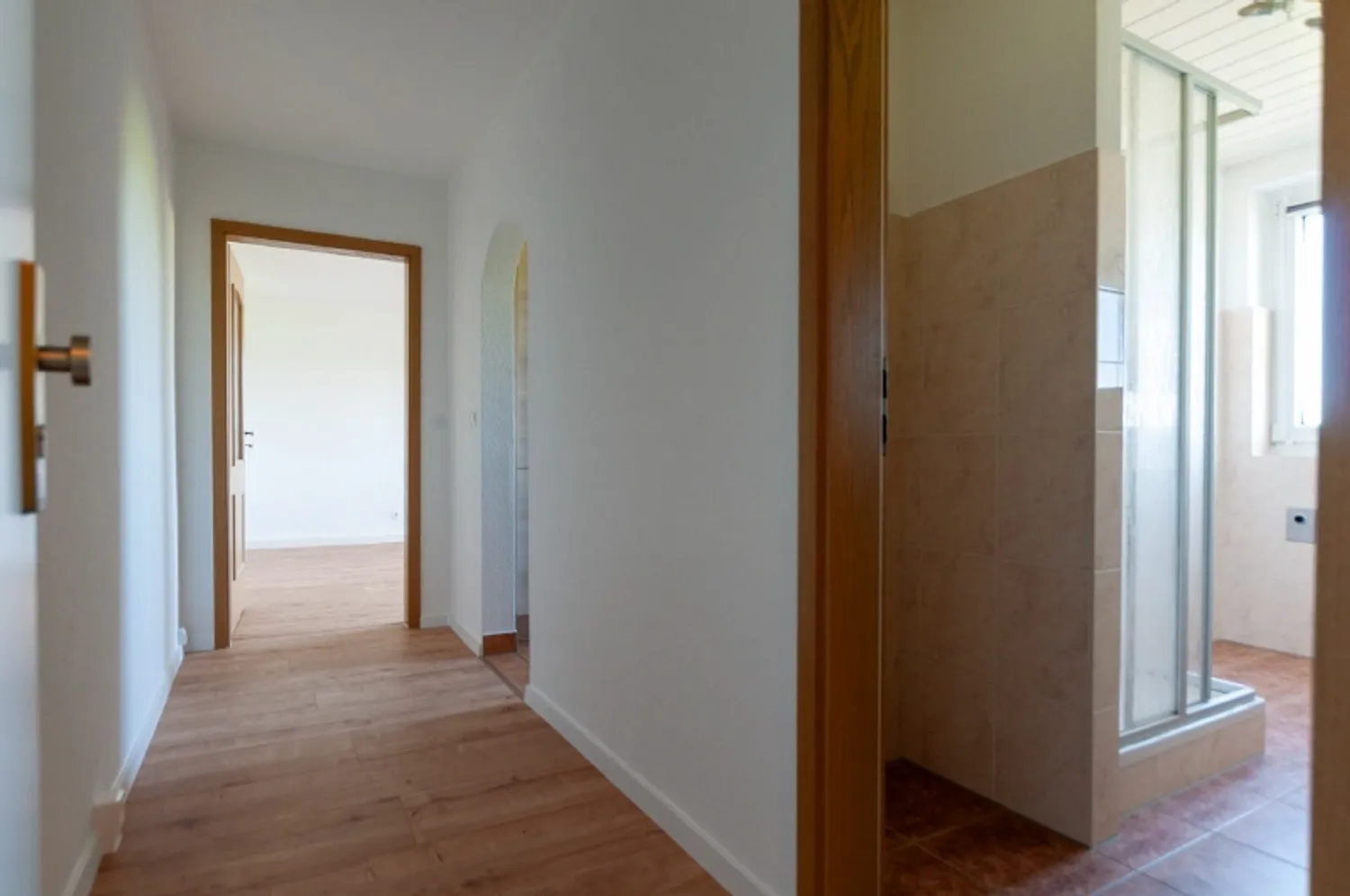2 room apartment with 48 m² in Dresden – Photo 8