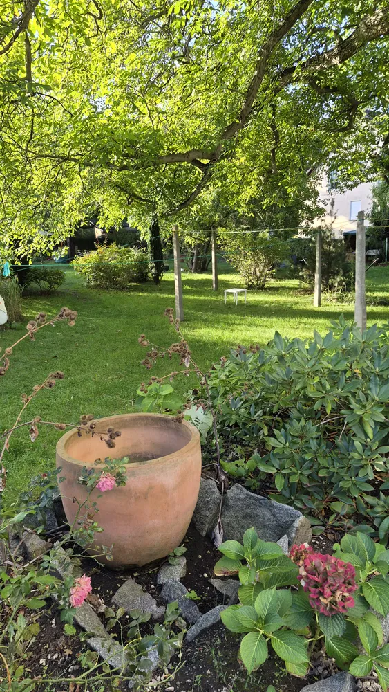 5 Zimmer Wohnung mit 97 m² in Dresden – Bild 1