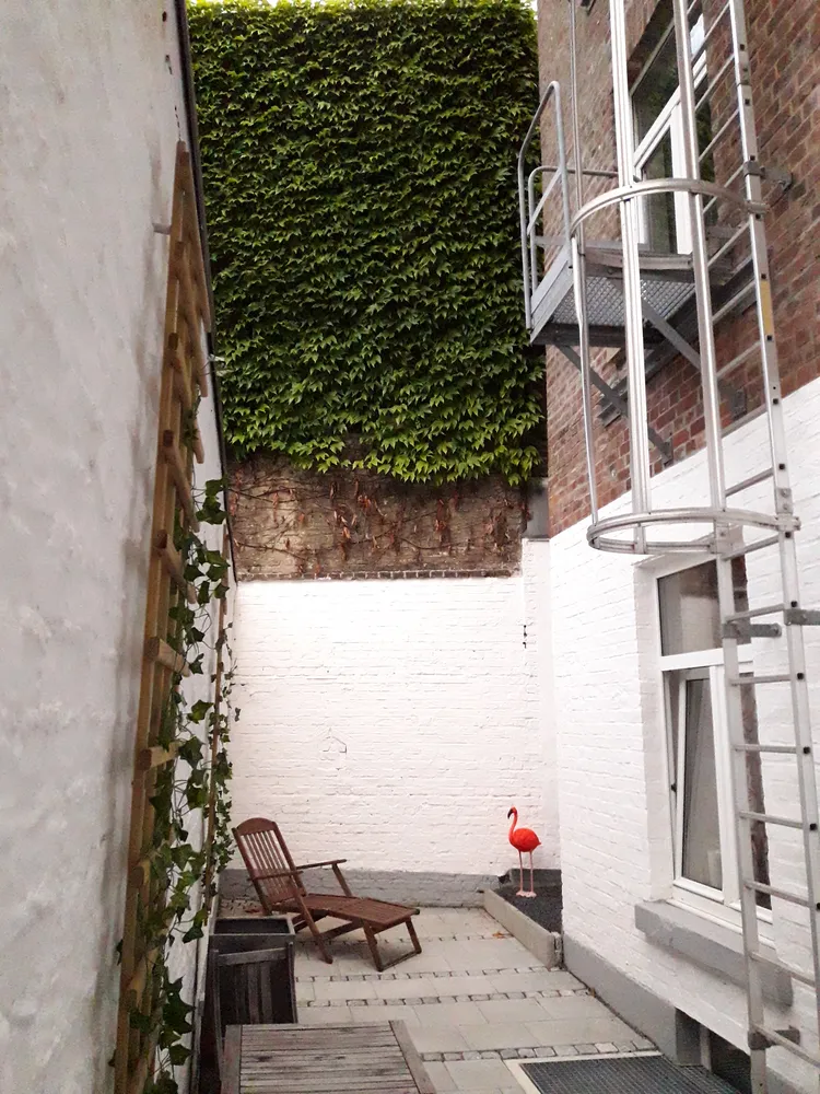 2 room apartment with 50 m² in Cologne – Photo 6