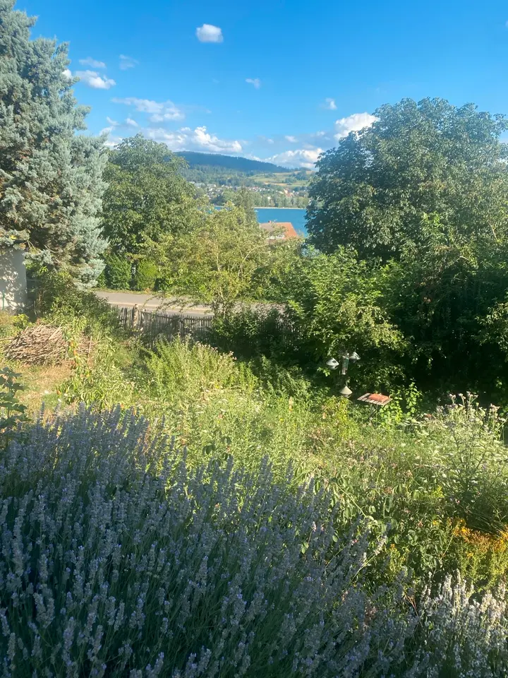 3 Zimmer Wohnung mit 92 m² in Radolfzell am Bodensee – Bild 8