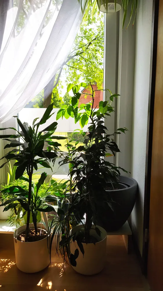 3 Zimmer Wohnung mit 85 m² in Neumünster – Bild 2