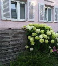 3 Zimmer Wohnung mit 61 m² in Bamberg – Bild 10