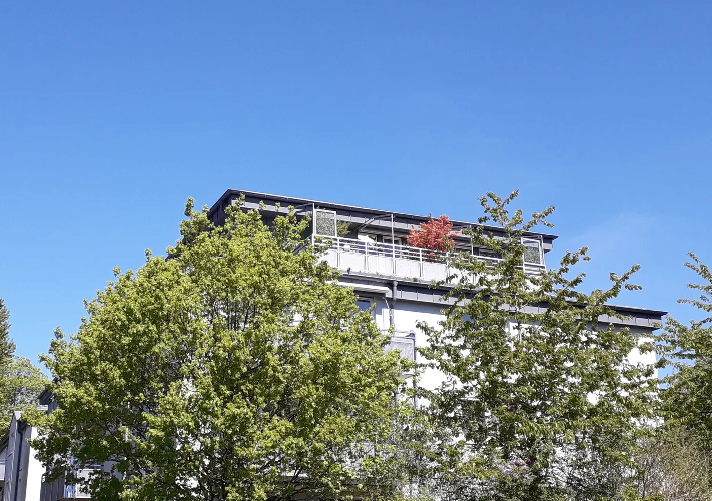 5 room apartment with 136 m² in Kiel – Photo 1