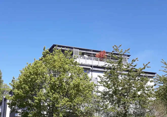 5 Zimmer Wohnung mit 136 m² in Kiel – Bild 1