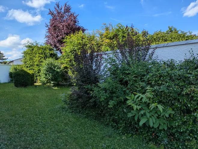 2 Zimmer Wohnung mit 57 m² in Mainz – Bild 4