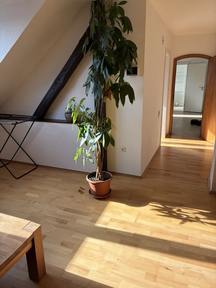 2 room apartment with 50 m² in Brunswick – Photo 1