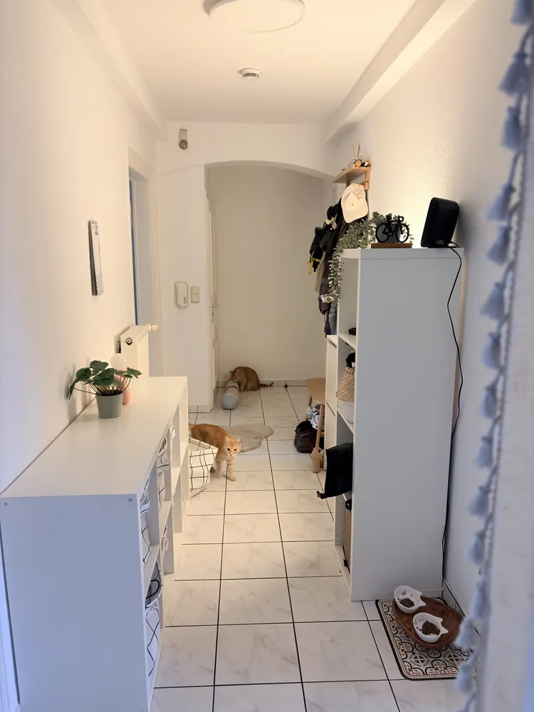 2 Zimmer Wohnung mit 50 m² in Wiesbaden – Bild 3