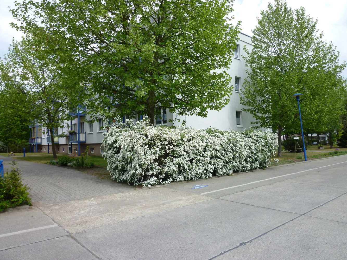 1 Zimmer Wohnung mit 26 m² in Fürstenwalde/Spree – Bild 9