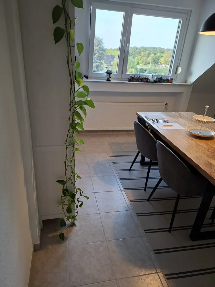 3 Zimmer Wohnung mit 64 m² in Mönchengladbach – Bild 3