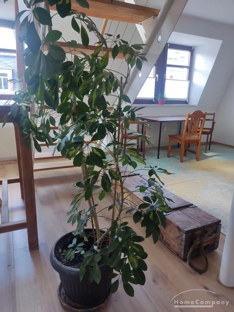 2 Zimmer Wohnung mit 60 m² in Dresden – Bild 12