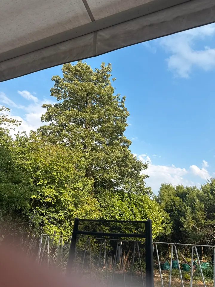 2 Zimmer Wohnung mit 75 m² in Essen – Bild 10