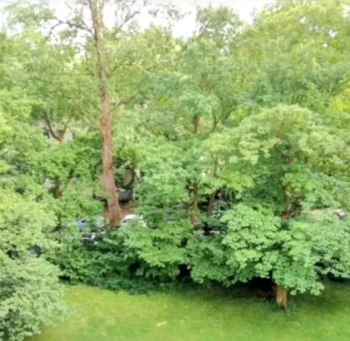 2 Zimmer Wohnung mit 45 m² in München – Bild 12