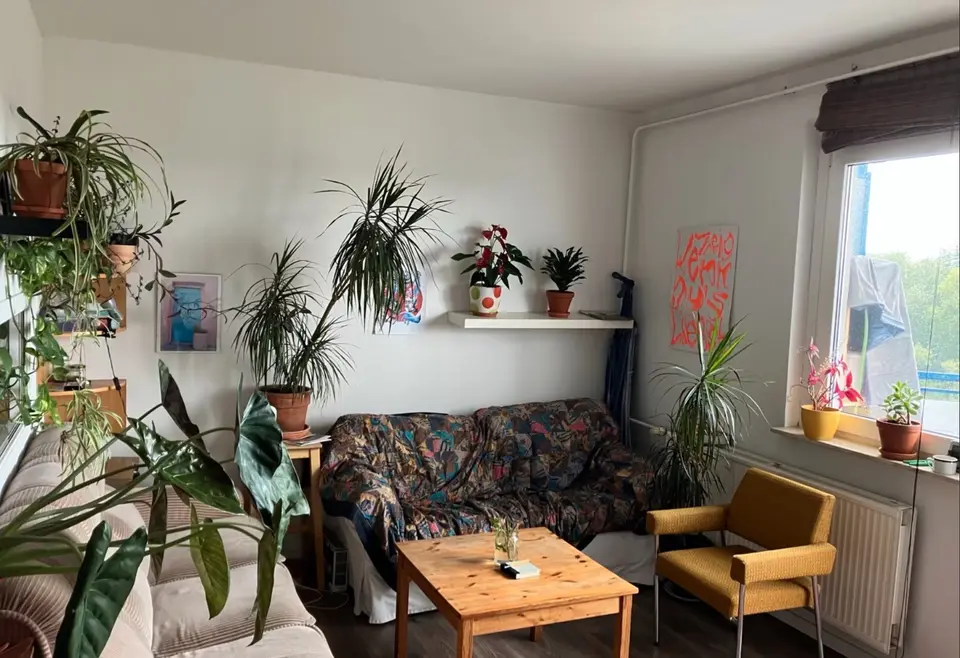 3 room apartment with 68 m² in Neubrandenburg – Photo 2
