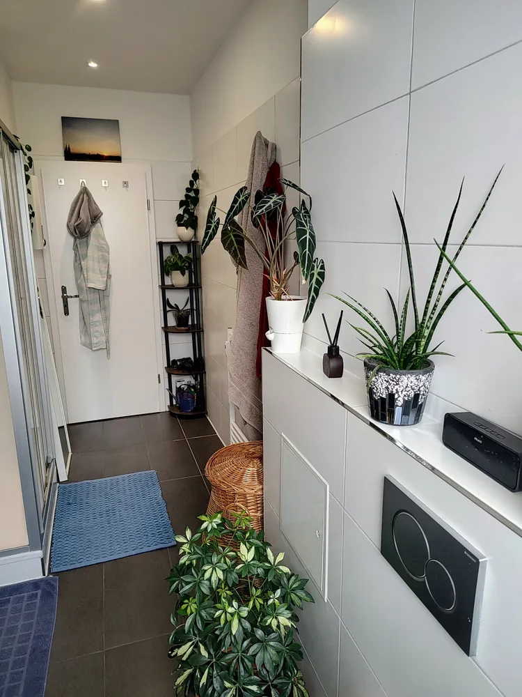 2 Zimmer Wohnung mit 50 m² in Duisburg – Bild 4