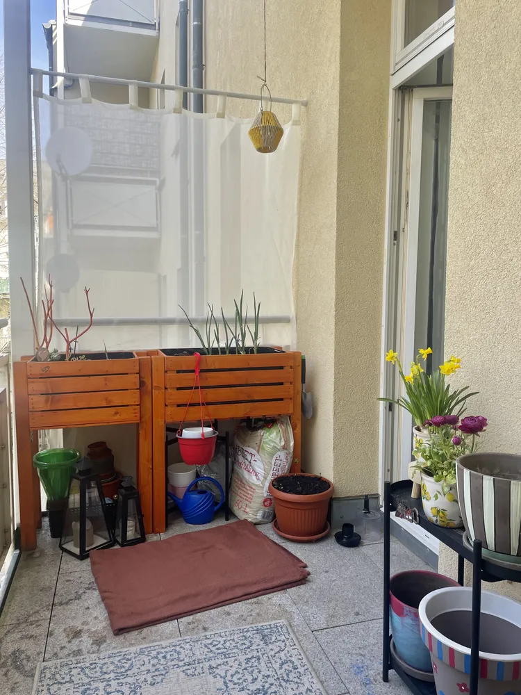 3 room apartment with 66 m² in Chemnitz – Photo 6
