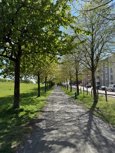 2 Zimmer Wohnung mit 53 m² in Hannover – Bild 5