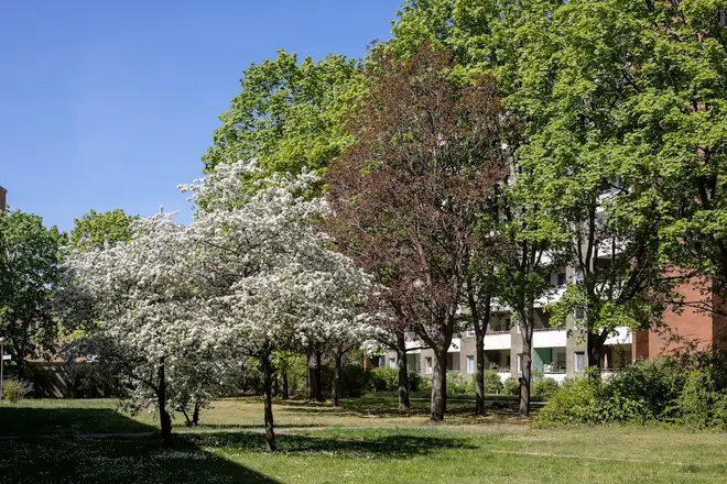 2 Zimmer Wohnung mit 60 m² in Berlin – Bild 3