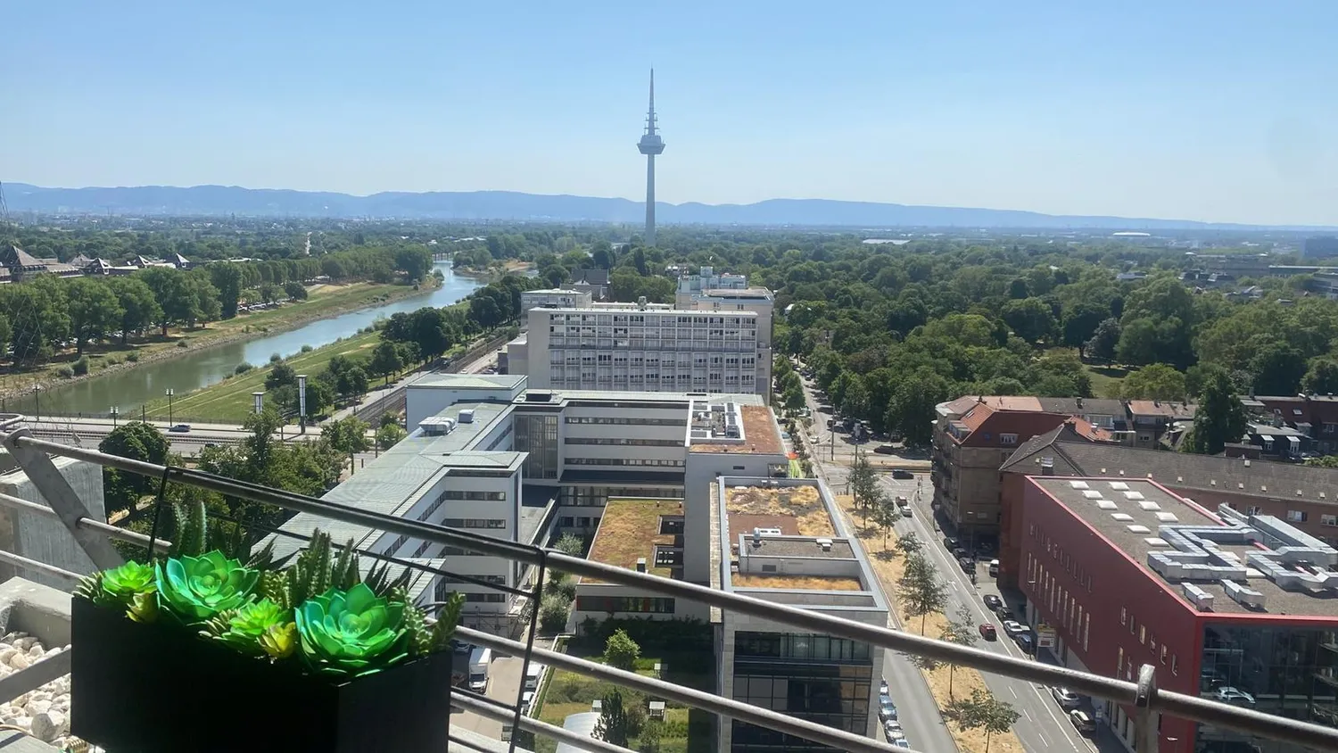 3 Zimmer Wohnung mit 97 m² in Mannheim – Bild 2
